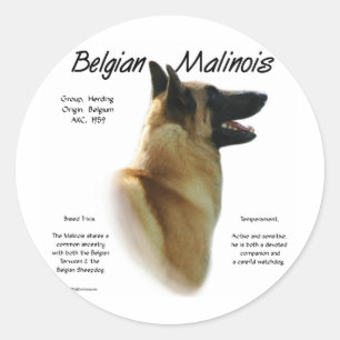 Belgische Malinoisgeschiedenis; Alles over Malinoi Ronde Sticker