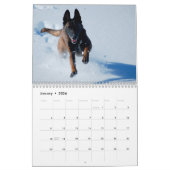 Belgische Malinoiskalender Kalender (Jan 2026)