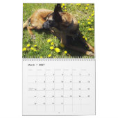 Belgische Malinoiskalender Kalender (Mar 2027)