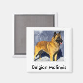 Belgische Malinoismagneet Magneet (Voorkant / Achterkant)