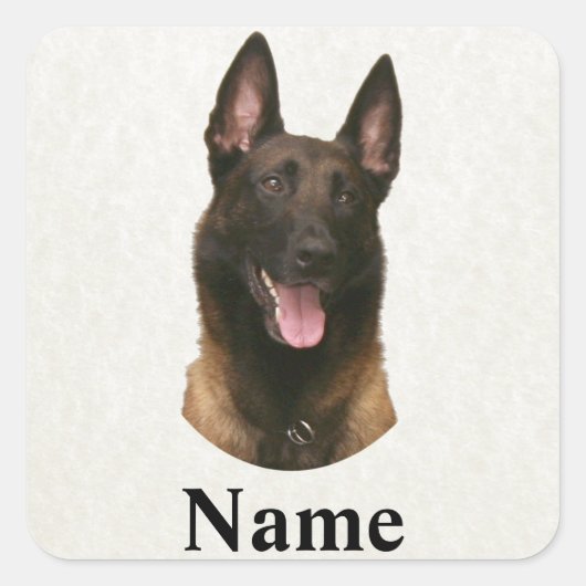 Belgische Malinoisnaam Vierkante Sticker (Voorkant)