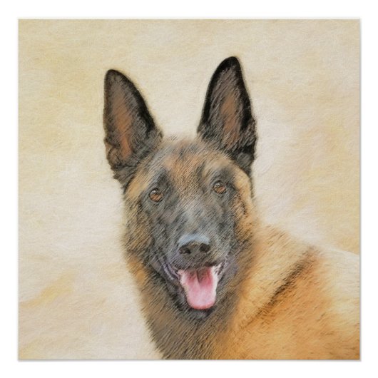 Belgische Malinoisschildering - Kute Original Dog  Perfect Poster (Voorkant)