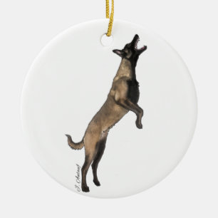 Belgische Malinoissieraad Keramisch Ornament