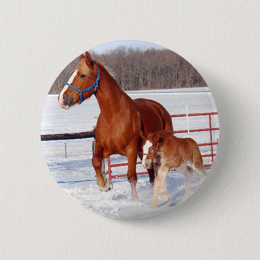 Belgische Mare en Filly Ronde Button 5,7 Cm (Voorkant)