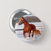 Belgische Mare en Filly Ronde Button 5,7 Cm (Voorkant /achterkant)