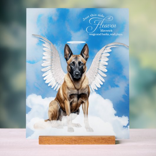 Belgische Mechelse Engel met Naam Pet Memorial Acryl Bord (Neutraal)