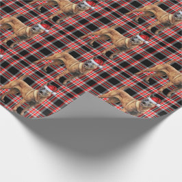 Belgische Mechelse Hond en Rode Plaid Kerstmis Cadeaupapier