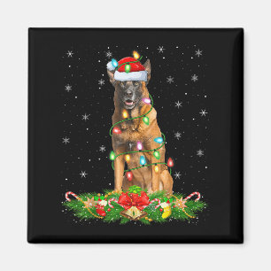 Belgische Mechelse Hond Kerstverlichting Grappige Magneet