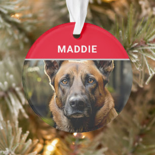 Belgische Mechelse Hond Naam en Foto Kerstmis Ornament