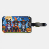 Belgische Mechelse Honden Pompoen Halloween Grappi Bagagelabel (Achterkant horizontaal)