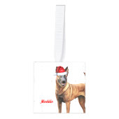 Belgische Mechelse Naam Twee Foto Kerstvakantie Decoratie (Voorkant)