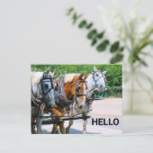Belgische paarden briefkaart (Staand voorkant)