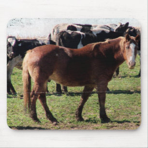 Belgische paarden en melkvee muismat