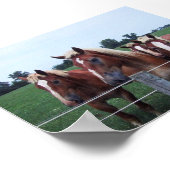 Belgische paarden poster (Hoek)