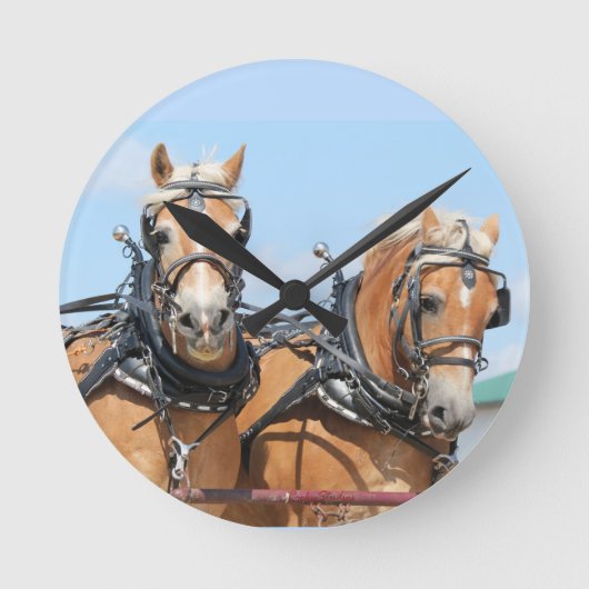 Belgische paarden ronde klok (Voorkant)