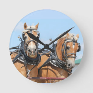 Belgische paarden ronde klok