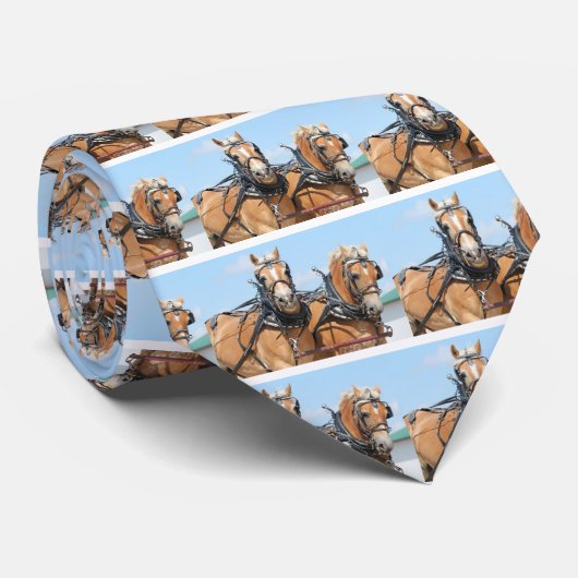 Belgische paarden stropdas (Opgerold)