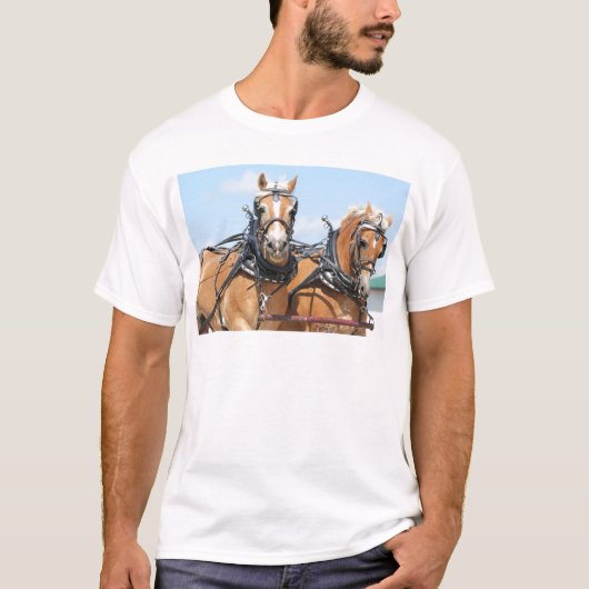Belgische paarden t-shirt (Voorkant)