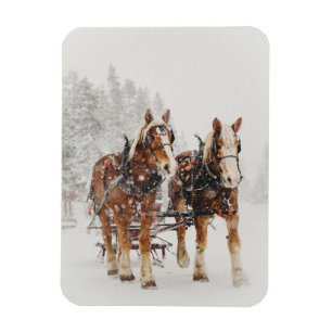 Belgische paardenploeg winterkerstscène magneet
