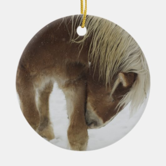 Belgische paardensierplant keramisch ornament (Voorkant)