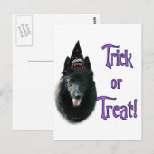 Belgische schapenhond truc briefkaart (Voorkant / Achterkant)