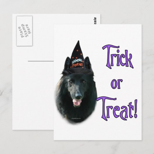 Belgische schapenhond truc briefkaart (Voorkant / Achterkant)