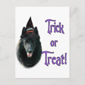 Belgische schapenhond truc briefkaart (Voorkant)