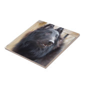 Belgische Sheep Dog Tegeltje (Zijkant)