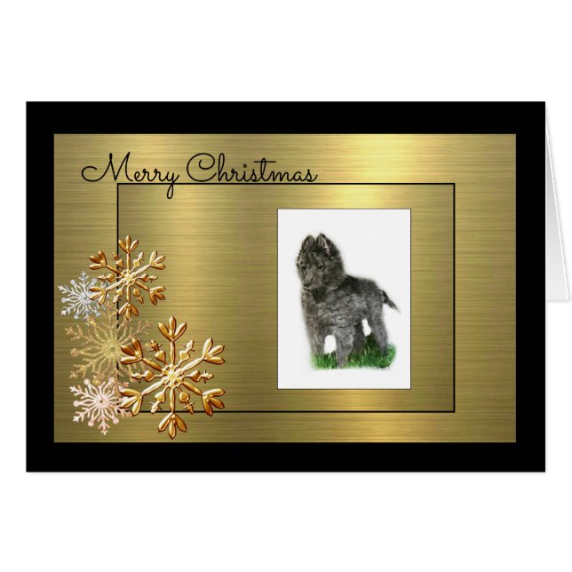 Belgische Sheepdog (Voorkant Horizontaal)