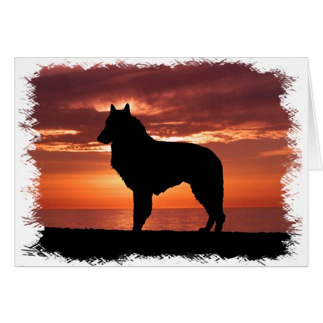 Belgische Sheepdog (Voorkant Horizontaal)