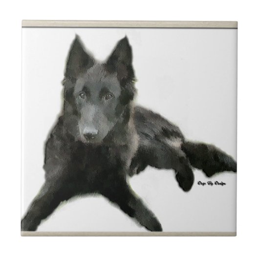 Belgische Sheepdog Art Tegeltje (Voorkant)