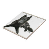 Belgische Sheepdog Art Tegeltje (Zijkant)