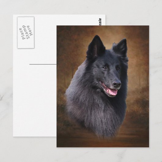 Belgische Sheepdog Briefkaart (Voorkant / Achterkant)
