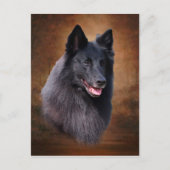 Belgische Sheepdog Briefkaart (Voorkant)
