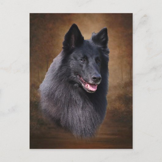 Belgische Sheepdog Briefkaart (Voorkant)