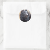 Belgische Sheepdog Ronde Sticker (Tas)