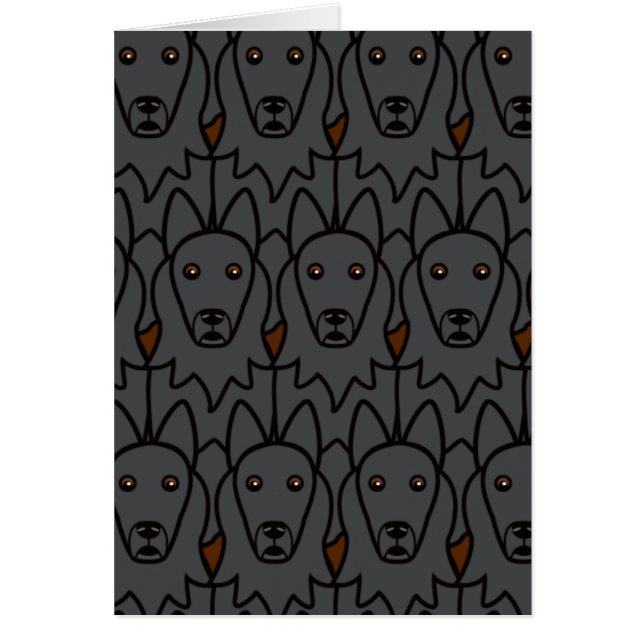 Belgische Sheepdogs (Voorkant)