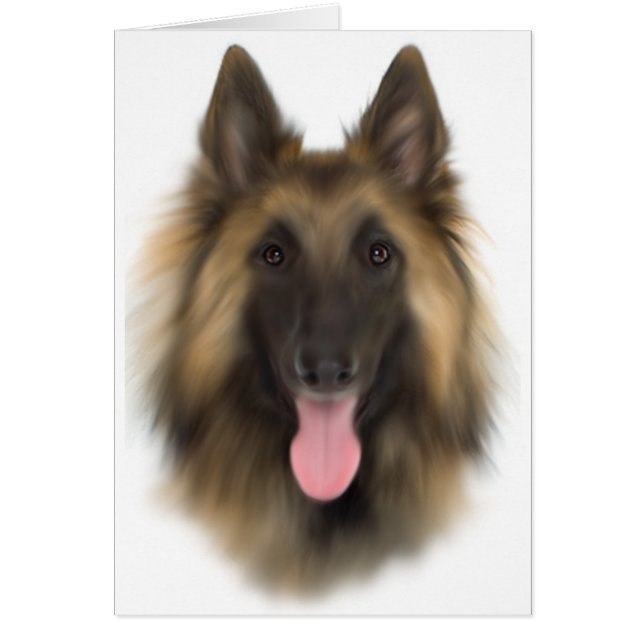 Belgische Sheperd Tervueren (Voorkant)