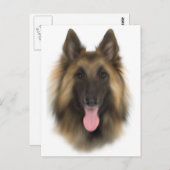 Belgische Sheperd Tervueren Briefkaart (Voorkant / Achterkant)