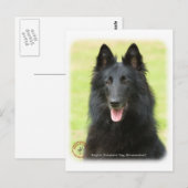 Belgische Shepherd Dog 9M031D-24 Briefkaart (Voorkant / Achterkant)