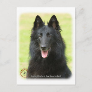 Belgische Shepherd Dog 9M031D-24 Briefkaart
