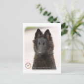 Belgische Shepherd Dog 9R096D-022 Briefkaart (Staand voorkant)