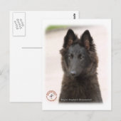 Belgische Shepherd Dog 9R096D-022 Briefkaart (Voorkant / Achterkant)