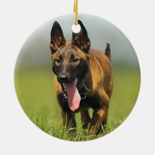 Belgische Shepherd Dog Keramisch Ornament