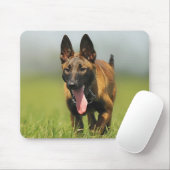 Belgische Shepherd Dog Muismat (Met muis)