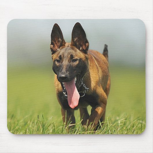Belgische Shepherd Dog Muismat (Voorkant)