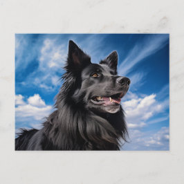 Belgische Shepherd Groenendael Briefkaart
