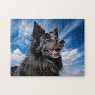Belgische Shepherd Groenendael Legpuzzel