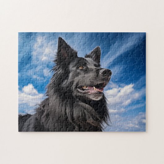 Belgische Shepherd Groenendael Legpuzzel (Horizontaal)