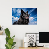 Belgische Shepherd Groenendael Poster (Thuiskantoor)